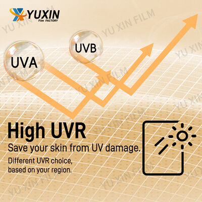 TPU Self Healing Color Change Anti-Yellow Anti-Dust Clear PPF Hydrophobic Car Paint Protection Film